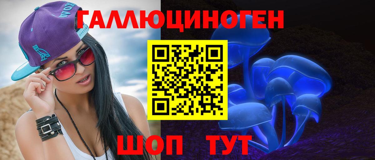 Донской  Псилоцибиновые грибы MAGIC MUSHROOMS  Вход с VPN 